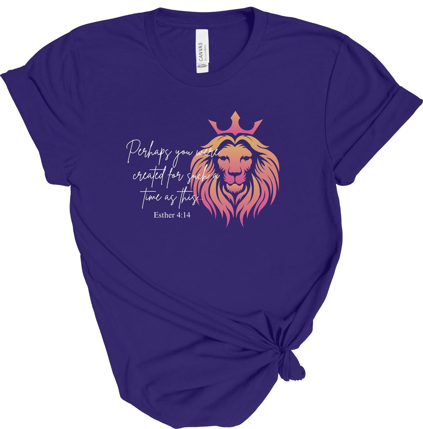 PERHAPS YOU WERE CREATED FOR A TIME LIKE THIS TEE