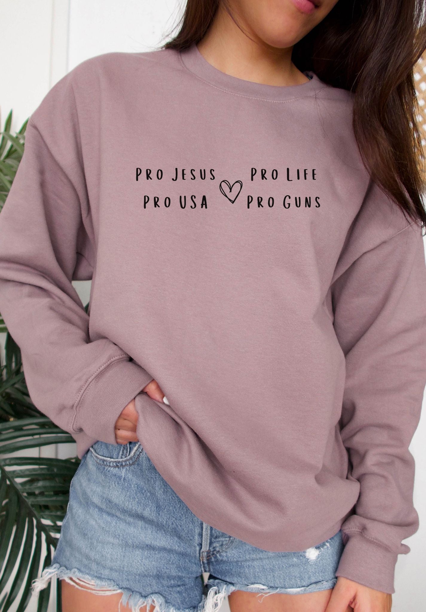 Pro Jesus Pro Life Pro USA Pro Guns Crewneck